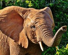 Southern Africa Motorhome Holidays