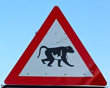 Swaziland - Driving Tips