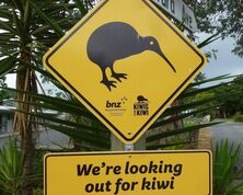 New Zealand - Driving Tips