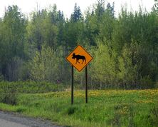 Canada - Driving Tips