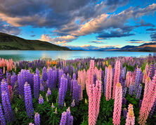5 Best Routes for Self Drive Holidays in New Zealand