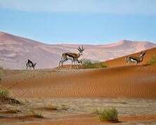 The Most Inspirational Places to Visit Around the World