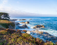 Moss Landing California: A Nature Lover's Paradise