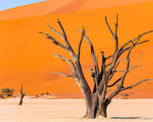 Namibia - Travel Advice