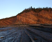 Spotlight on UNESCO: Canada's Joggins Fossil Cliffs