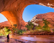 Exploring America's Wilderness - Top National Parks to Visit on a Motorhome Adventure Part 1