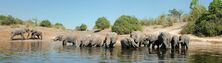 Chobe National Park (Botswana)