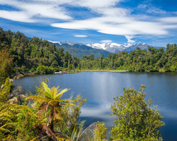 The Grand New Zealand Tour