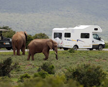 Kruger to the Cape