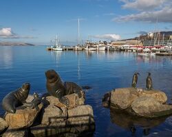 Tasmania - The Wild Island State