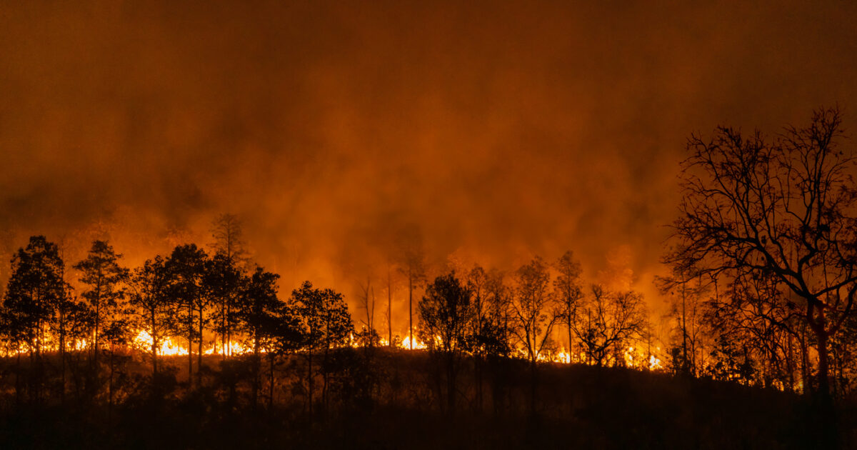 A Traveller's Guide to Wildfire Safety | Worldwide Motorhome Holidays