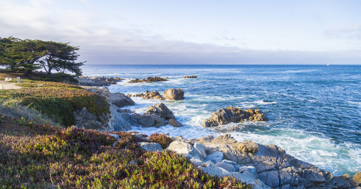 Moss Landing California: A Nature Lover's Paradise | Worldwide ...