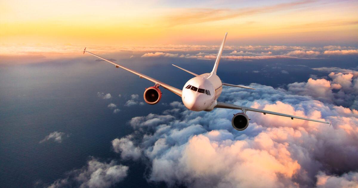 Air Travel: Inside the Cabin of Curiosities