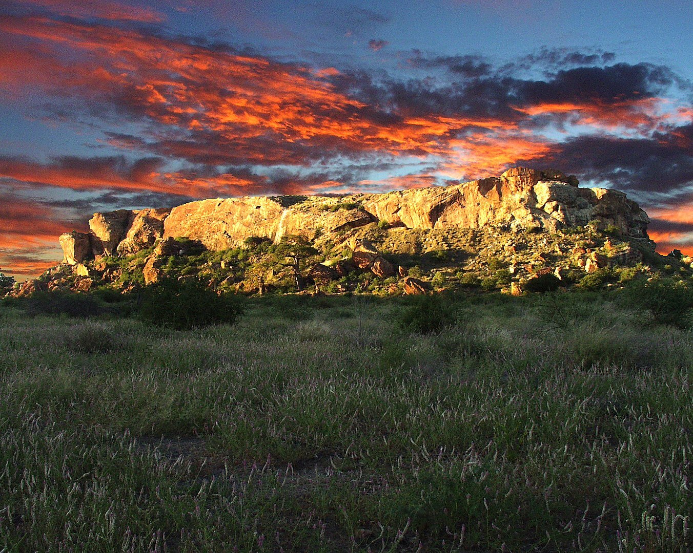 Mapungubwe Hill