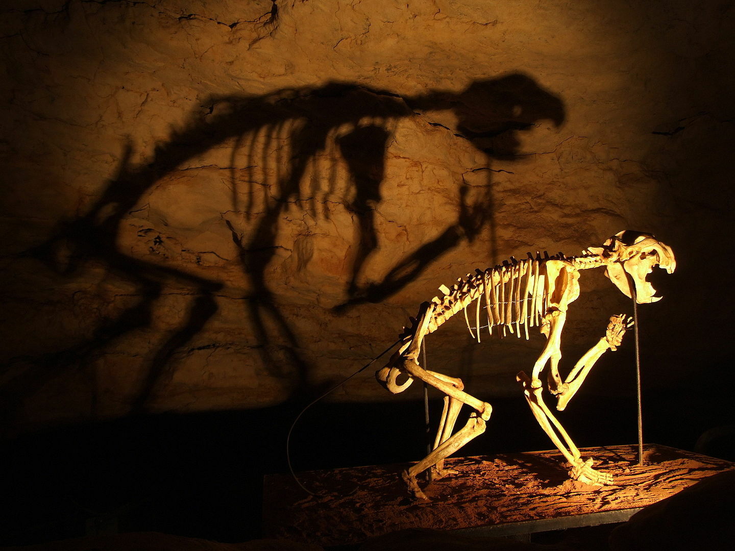 Naracoorte Caves National Park