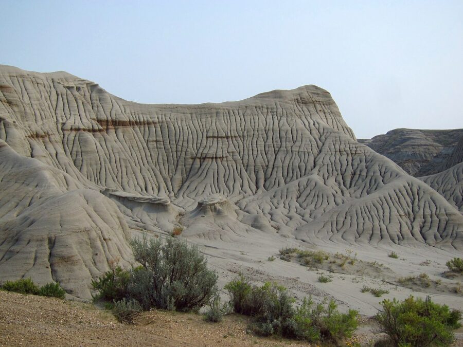 Dinosaur Provincial Park