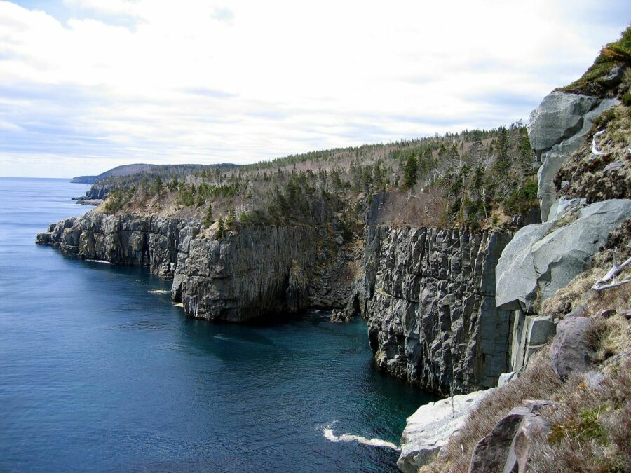 The coast of the Avalon Peninsula