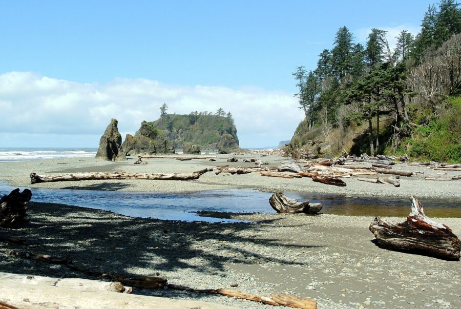 Cedar Creek & Abbey Island, Olympic National Park