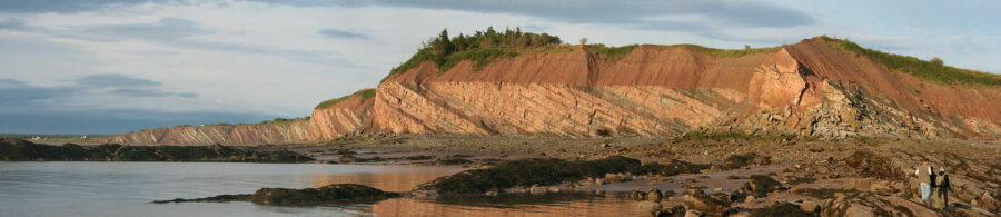 Joggins Formation, Nova Scotia