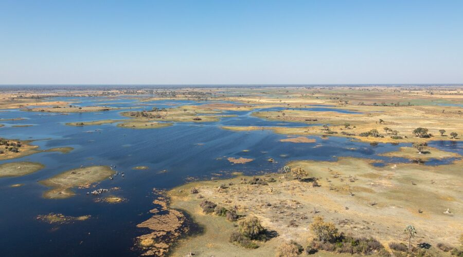 Typical region in the Okavango Delta